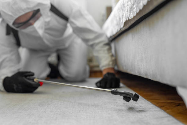 Professional Wasp Control technician working in Bellerose Terrace, NY