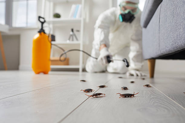Trusted Fumigation Services service in Bellerose Terrace, NY - Nex Pest Control