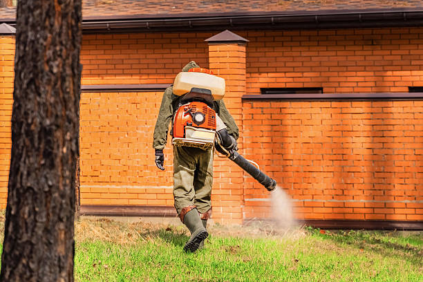 Trusted Ant Control service in Bellerose Terrace, NY - Nex Pest Control